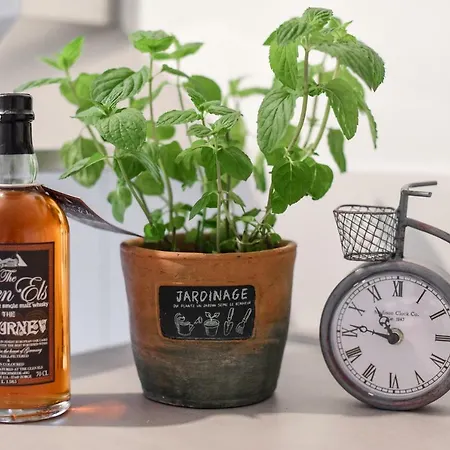 Fachwerq'sleep Adults Only Apartment